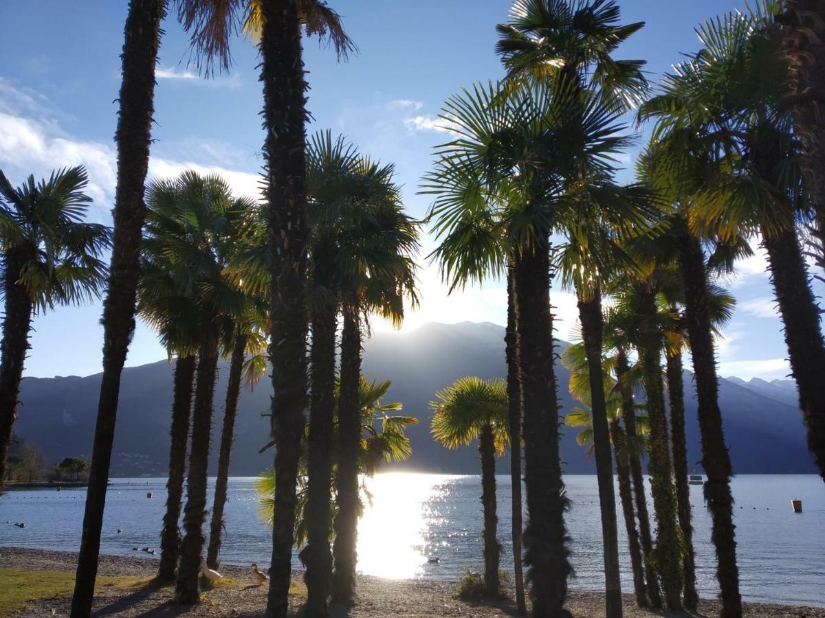 Appartamento Silvy Riva del Garda Esterno foto